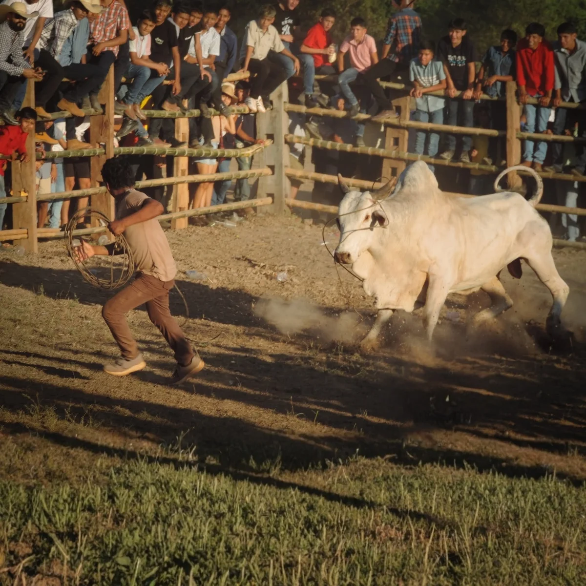 El palo encebao